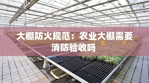 大棚防火規(guī)范：農(nóng)業(yè)大棚需要消防驗收嗎 