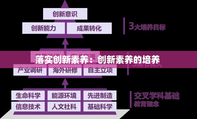 落實創(chuàng)新素養(yǎng)：創(chuàng)新素養(yǎng)的培養(yǎng) 