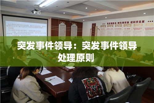 突發(fā)事件領導：突發(fā)事件領導處理原則 