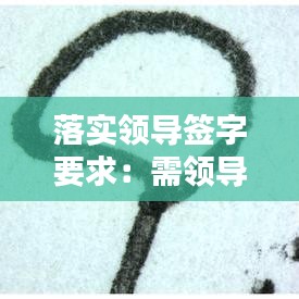 落實(shí)領(lǐng)導(dǎo)簽字要求：需領(lǐng)導(dǎo)簽字的報(bào)告格式 