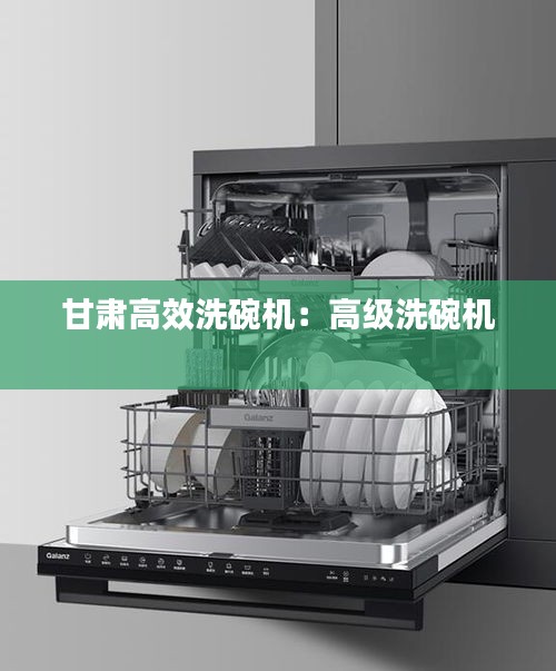 甘肅高效洗碗機：高級洗碗機 