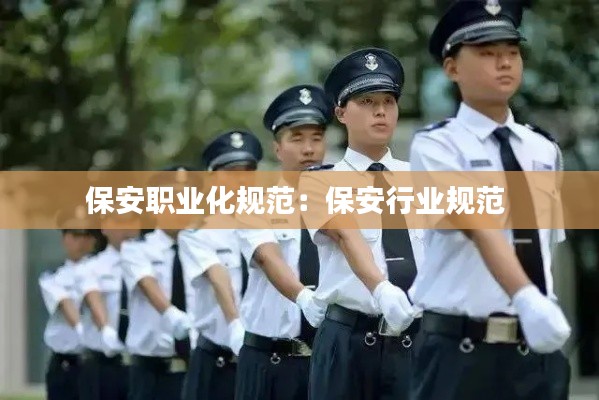 保安職業(yè)化規(guī)范：保安行業(yè)規(guī)范 