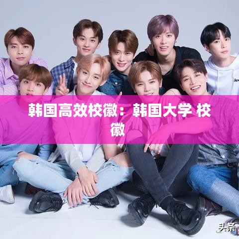 韓國高效?；眨喉n國大學(xué) 校徽 