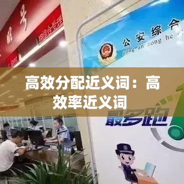 高效分配近義詞：高效率近義詞 