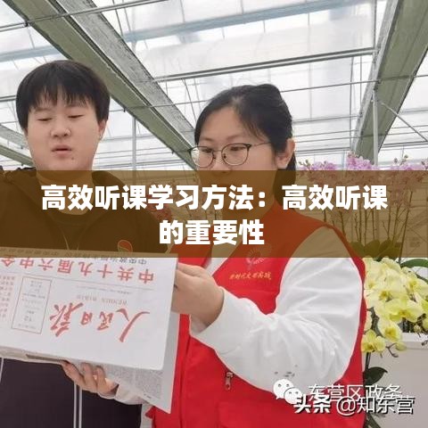 高效聽課學(xué)習(xí)方法：高效聽課的重要性 