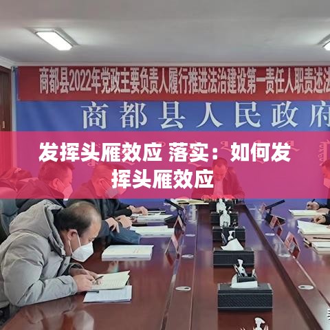 發(fā)揮頭雁效應(yīng) 落實(shí)：如何發(fā)揮頭雁效應(yīng) 