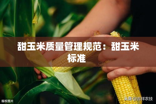 甜玉米質(zhì)量管理規(guī)范：甜玉米標(biāo)準(zhǔn) 