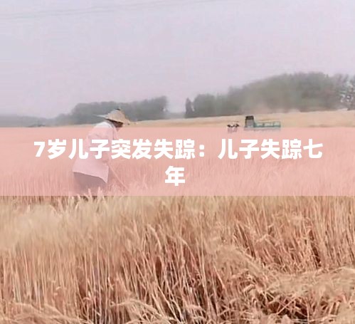 7歲兒子突發(fā)失蹤：兒子失蹤七年 