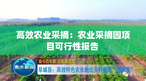 高效農(nóng)業(yè)采摘：農(nóng)業(yè)采摘園項目可行性報告 