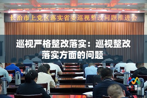 巡視嚴(yán)格整改落實(shí)：巡視整改落實(shí)方面的問(wèn)題 