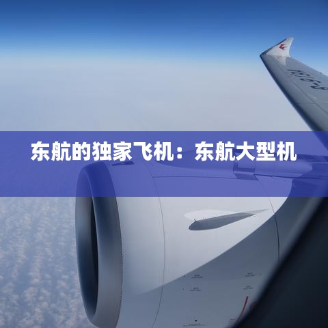 東航的獨(dú)家飛機(jī)：東航大型機(jī) 