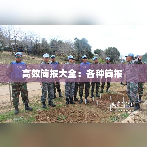 高效簡(jiǎn)報(bào)大全：各種簡(jiǎn)報(bào) 