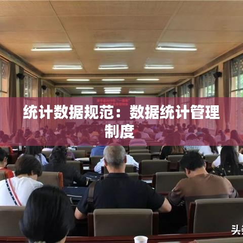 統(tǒng)計數(shù)據(jù)規(guī)范：數(shù)據(jù)統(tǒng)計管理制度 
