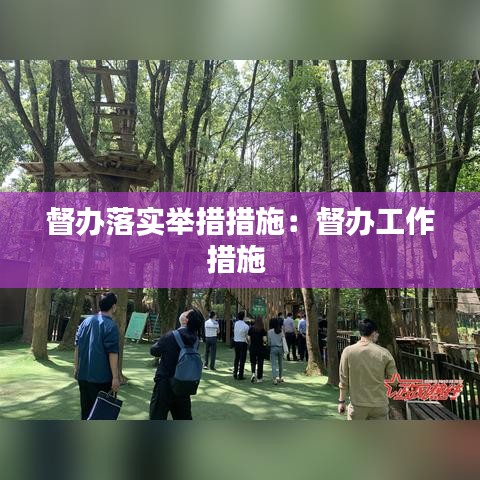 督辦落實舉措措施：督辦工作措施 