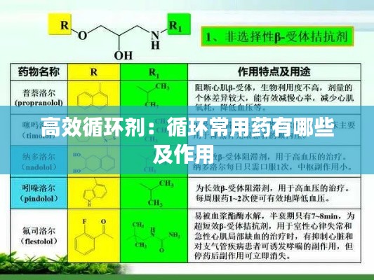 高效循環(huán)劑：循環(huán)常用藥有哪些及作用 