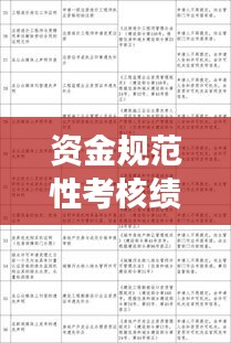 資金規(guī)范性考核績(jī)效分析：資金管理績(jī)效 