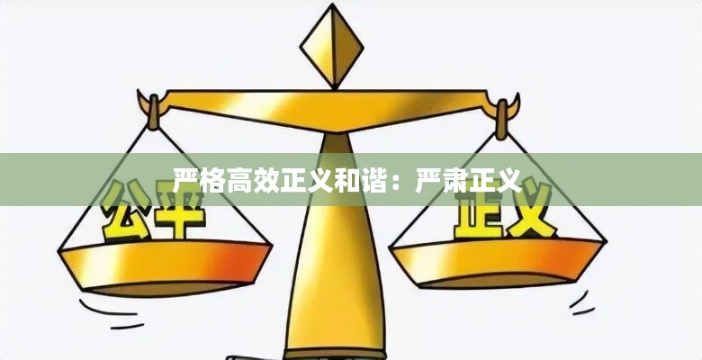 嚴(yán)格高效正義和諧：嚴(yán)肅正義 