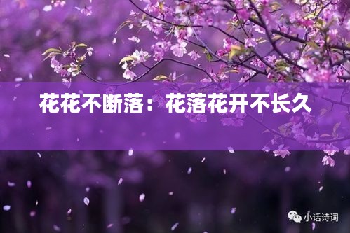 花花不斷落：花落花開(kāi)不長(zhǎng)久 