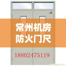 常州機房防火門尺寸規(guī)范：機房防火防盜門 