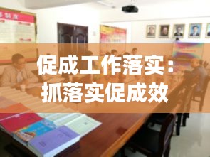 促成工作落實：抓落實促成效要成果 