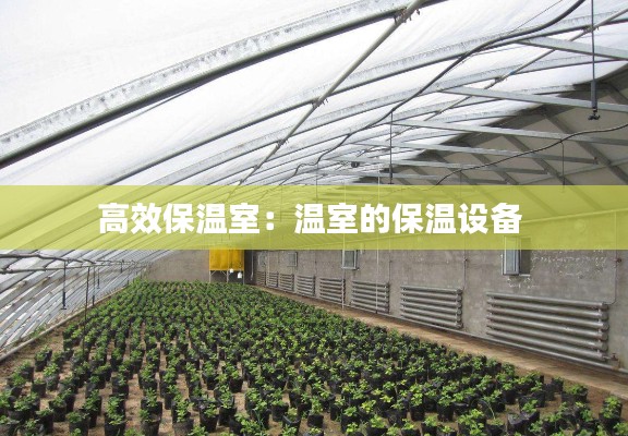 高效保溫室：溫室的保溫設(shè)備 