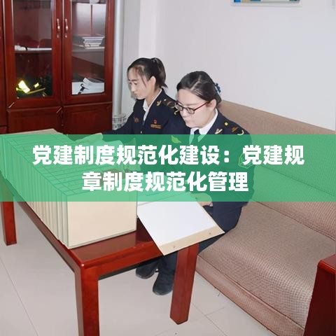 黨建制度規(guī)范化建設(shè)：黨建規(guī)章制度規(guī)范化管理 