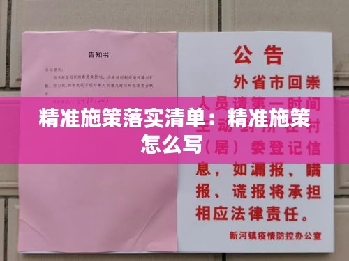 精準施策落實清單：精準施策怎么寫 