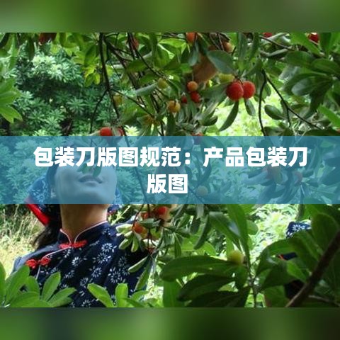 包裝刀版圖規(guī)范：產(chǎn)品包裝刀版圖 