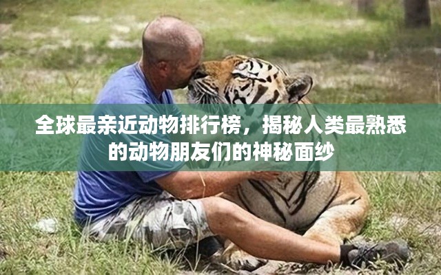 省吃細用 第3頁
