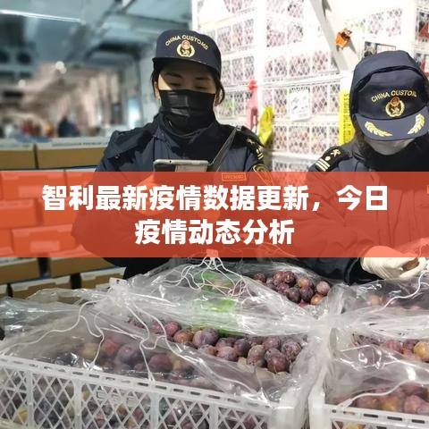 智利最新疫情數(shù)據(jù)更新，今日疫情動態(tài)分析