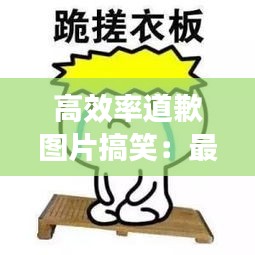 高效率道歉圖片搞笑：最有效的道歉 