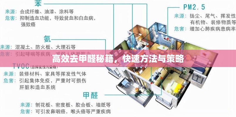 高效去甲醛秘籍，快速方法與策略