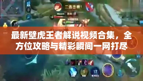 最新壁虎王者解說視頻合集，全方位攻略與精彩瞬間一網(wǎng)打盡