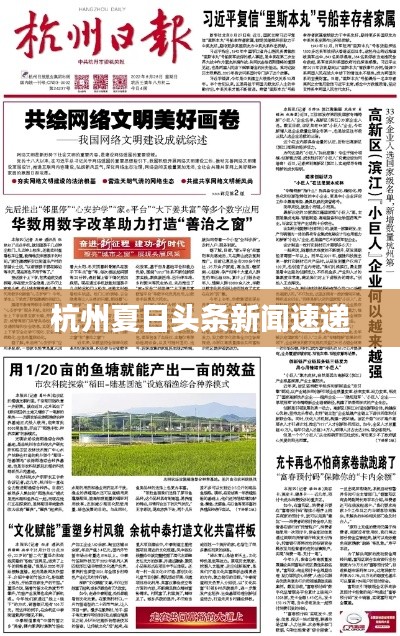 杭州夏日頭條新聞速遞