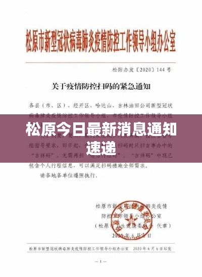 龍飛鳳舞 第4頁