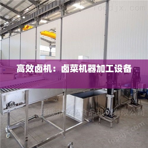 高效鹵機(jī)：鹵菜機(jī)器加工設(shè)備 