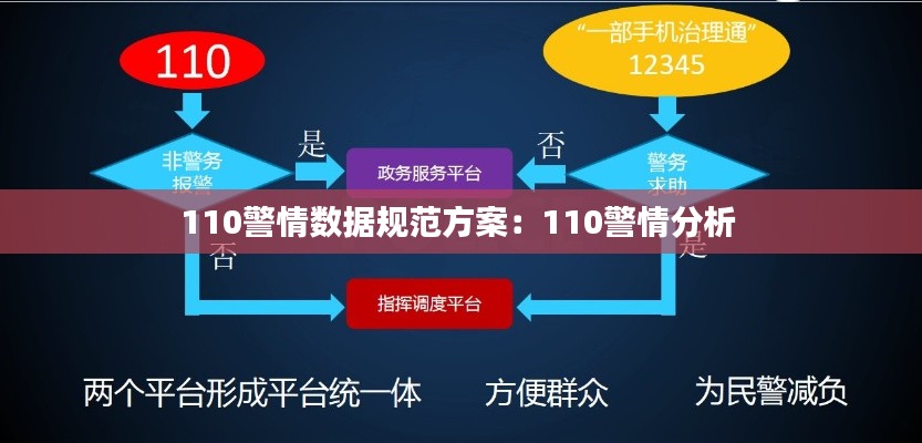 110警情數(shù)據(jù)規(guī)范方案：110警情分析 