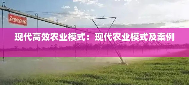 現(xiàn)代高效農(nóng)業(yè)模式：現(xiàn)代農(nóng)業(yè)模式及案例 