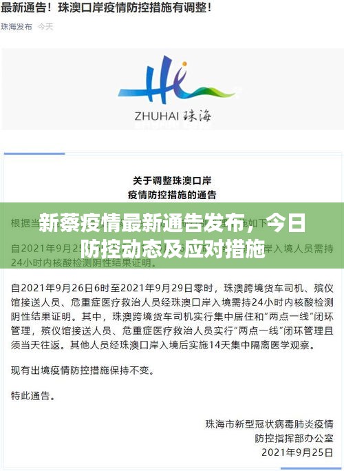 新蔡疫情最新通告發(fā)布，今日防控動態(tài)及應(yīng)對措施