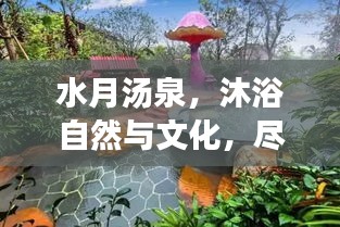 水月湯泉，沐浴自然與文化，盡享獨(dú)特體驗(yàn)