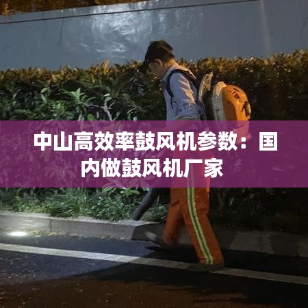中山高效率鼓風(fēng)機(jī)參數(shù)：國內(nèi)做鼓風(fēng)機(jī)廠家 