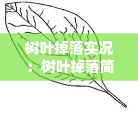 樹葉掉落實(shí)況：樹葉掉落簡(jiǎn)筆畫圖片 
