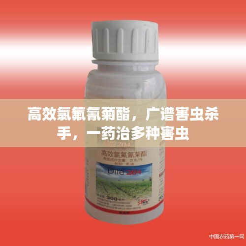 高效氯氟氰菊酯，廣譜害蟲殺手，一藥治多種害蟲