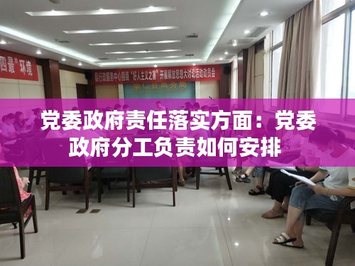 黨委政府責任落實方面：黨委政府分工負責如何安排 