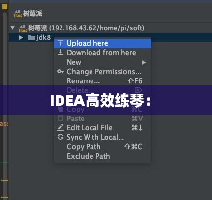 IDEA高效練琴： 