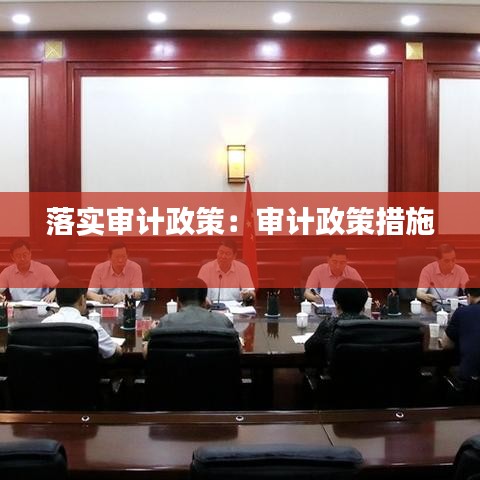 落實審計政策：審計政策措施 