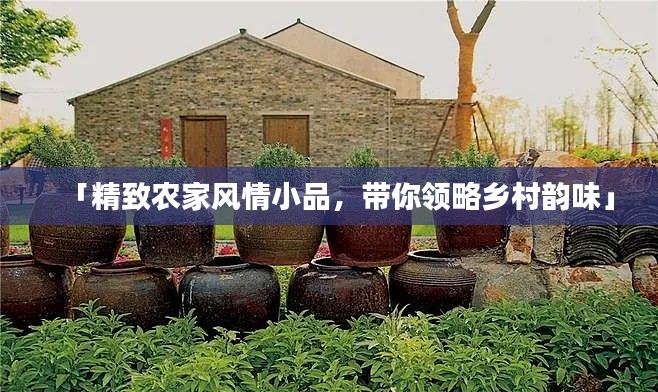 「精致農(nóng)家風(fēng)情小品，帶你領(lǐng)略鄉(xiāng)村韻味」