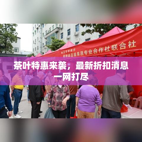 茶葉特惠來襲，最新折扣消息一網(wǎng)打盡