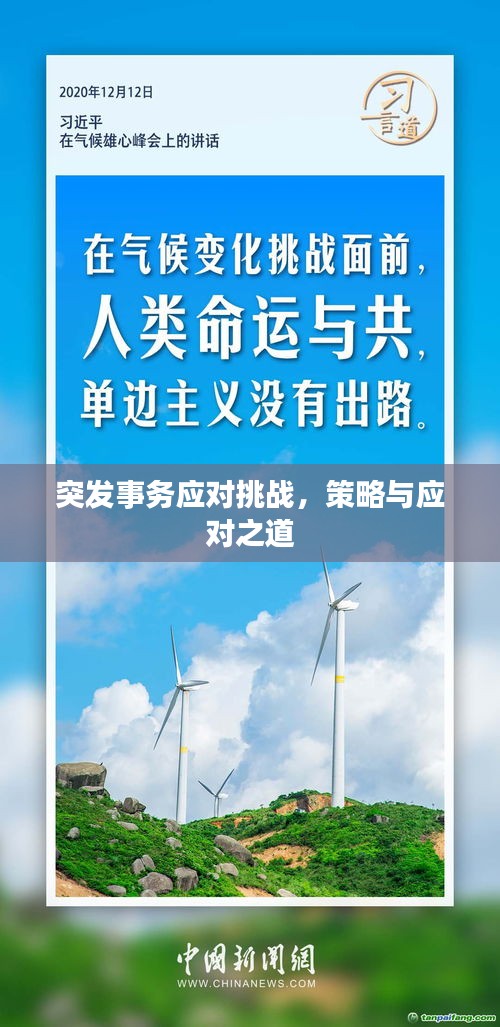 突發(fā)事務(wù)應(yīng)對挑戰(zhàn)，策略與應(yīng)對之道