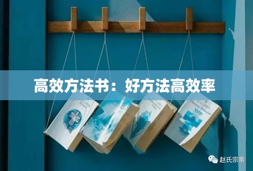 高效方法書(shū)：好方法高效率 